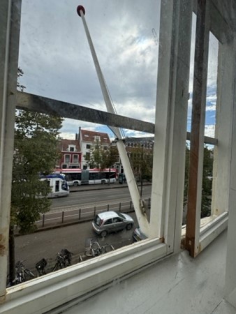 IMG_9912 Medium.jpeg